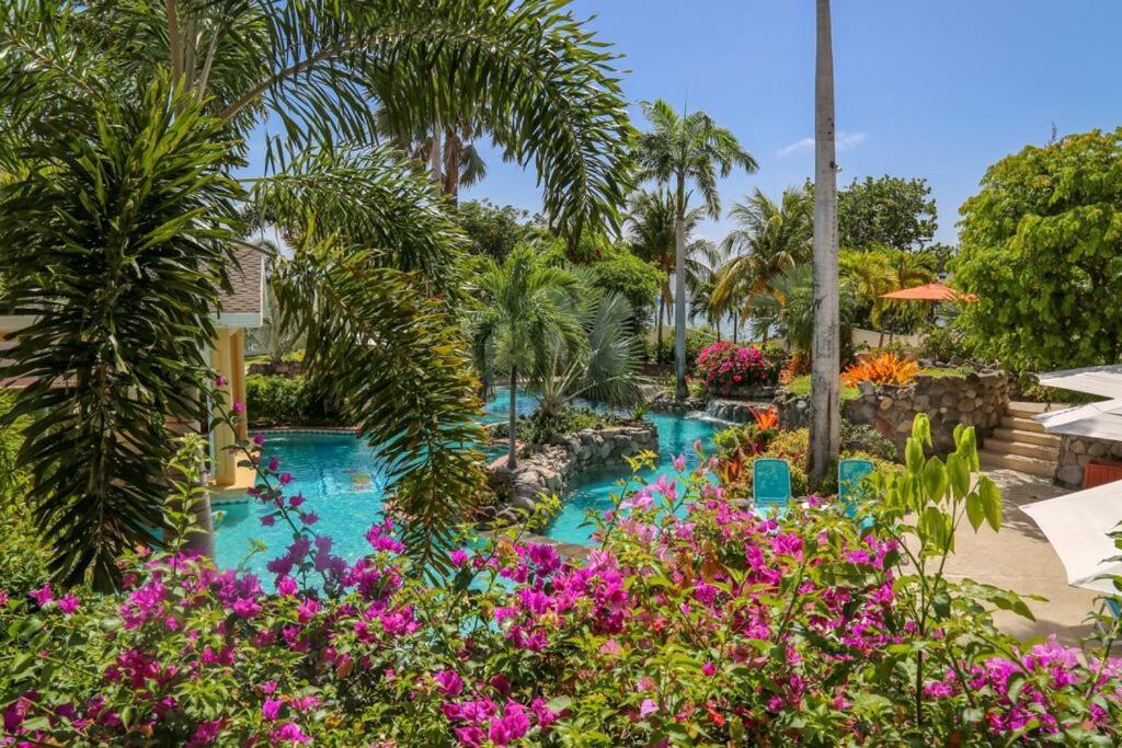 Ocean Terrace Inn Hotel Basseterre 外观 照片
